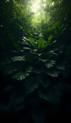 A dense cluster of dark green tropical leaves, layered densely to create a sense of depth. The leaves are varying shades of dark green, with a glossy and matte contrast. The sunlight peeks through the
