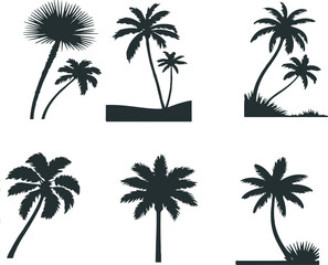 Palm tree silhouettes vector set 