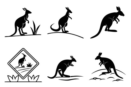 Minimalist wallaby icon set with bold colors