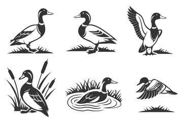 Fototapeta premium Minimalist canvasback duck icon set in black and yellow