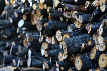 Firewood close-up. Preparing firewood for the winter, preparing for the heating season. tree trunks in nature. many cut tree trunks. Front view. Natural background.