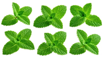 Close-up of fresh mint leaves, arranged in a grid pattern.  Bright green leaves with visible veins