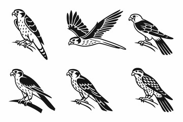 Eight minimalist kestrel icons in black yellow cyan and magenta