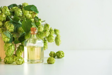 Glass Bottle with Hop Extract and Fresh Hops on Light Background