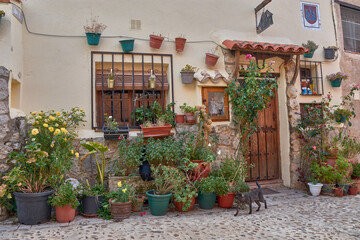 Fototapete bei efototapeten.de bestellen   