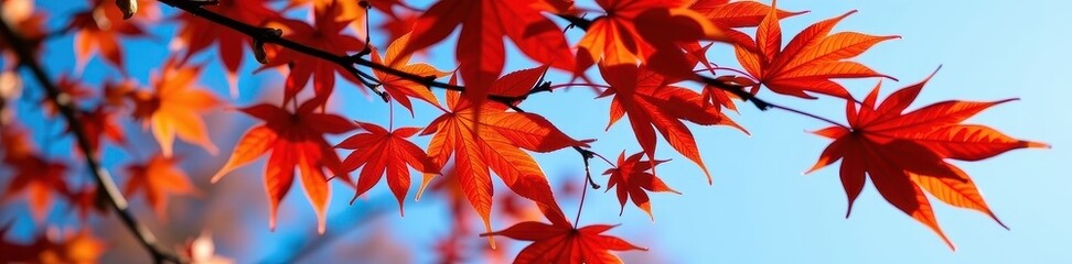 Vibrant red maple leaves clinging to branches against a clear autumn sky, tree, botany
