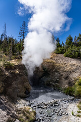 Dragon's Mouth Spring, Mud Volcano area,  Yellowstone National Park, Wyoming. A mud volcano or mud dome is a landform created by the eruption of mud or slurries, water and gases


