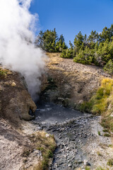 Dragon's Mouth Spring, Mud Volcano area,  Yellowstone National Park, Wyoming. A mud volcano or mud dome is a landform created by the eruption of mud or slurries, water and gases


