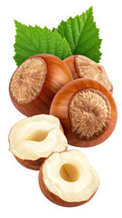 Hazelnuts with leaves.  Close-up of three whole hazelnuts and two halves, showcasing the brown shells and creamy white insides. Fresh, healthy nuts with vibrant green leaves