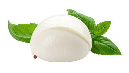 Round ball of white mozzarella cheese, topped with fresh basil leaves
