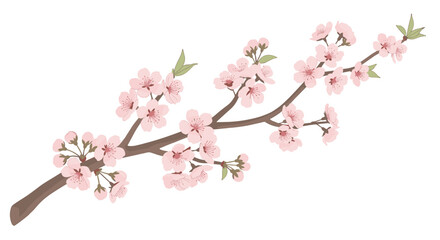 A beautiful blooming cherry blossom branch with delicate pink sakura flowers, SVG vector graphic.