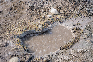 Sizzling Basin. Mud Volcano area, Yellowstone National Park, Wyoming. A mud volcano or mud dome is a landform created by the eruption of mud or slurries, water and gases