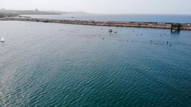Aerial view of a commercial mussel farm. Media