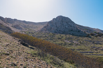 A dry stone wall and sparse vegetation traverse barren, rocky mountainside under bright, clear sky. A typical arid landscape on scenic hiking trails above the town of Baška, on island of Krk, Croatia.