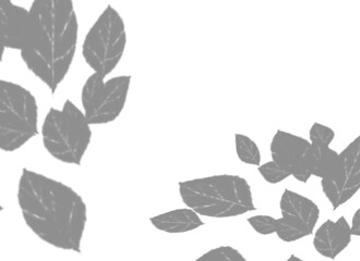 Scattered gray leaves in varying sizes, forming a subtle, elegant pattern isolated on transparent background