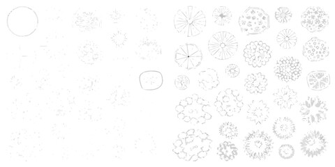 Collection of hand drawn top view tree and plant illustrations in a sketchy style