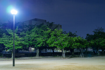 深い青の夜空と濃い緑の木々が織りなすコントラスト