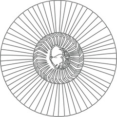Obraz premium Black and white line drawing of a complex circular design