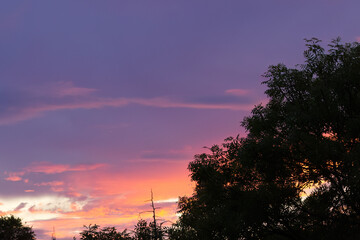 purple salmon sunset, silhouette trees against purple pink sunset, orange sky, dramatic sky with setting sun and purple clouds