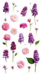 Floral arrangement of lilac, pink roses, and other blooms