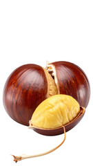 Two halved chestnuts, close-up.  A pair of brown chestnuts, one whole, and one split open, revealing a pale yellow interior.  Dark background isolates the fruit