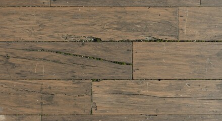 Wood Texture with Decorative Pattern Variations