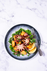 Grilled octopus dish, with baked potatoes, and fresh herbs, on a marble table, homemade, no people