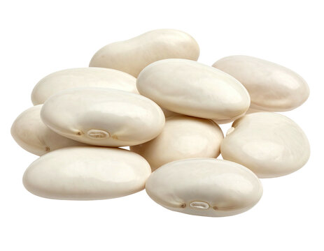A cluster of white beans