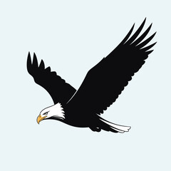 Obraz premium Majestic bald eagle in flight, a powerful bird of prey symbol shown in a graphic illustration