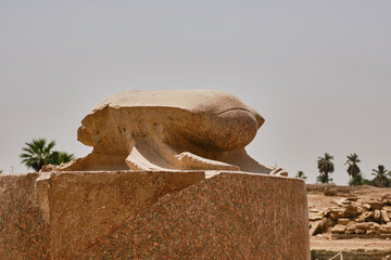 Sacred Scarab in Luxor Temple in Egypt. Karnak temple, Luxor