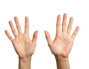 Two hands raised, palms facing outward