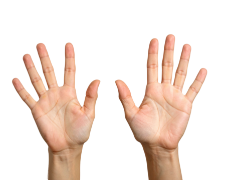 Two hands raised, palms facing outward
