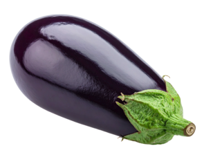 Single eggplant, deep purple, smooth skin, light green stem