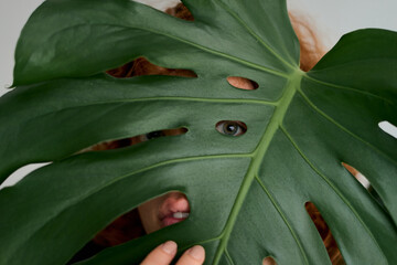 Woman peeking through large monstera leaf