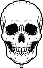 Black and white skull illustration with detailed features