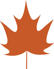 Leaf in autumn isolated on transparent background