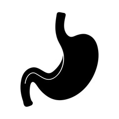 Stomach Outline Silhouette Vector Flat Clean Design
