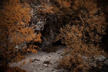 Mysterious Cave Entrance Surrounded by Dramatic Autumnal Orange and Dark Foliage