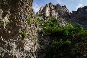 Majestic Rocky Cliffs and Canyon Walls with Green Vegetation, Low Angle View