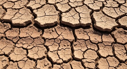 Cracked Dry Earth Texture from Severe Drought Conditions.
