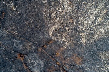 A Top Down Aerial Texture of a Burned Landscape The Concept of a Desolation