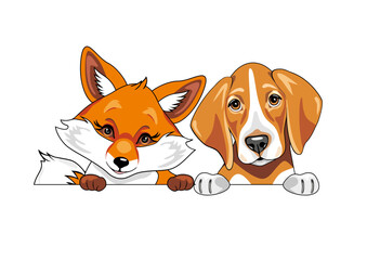 Cute fox аnd a foxhound dog are best friends