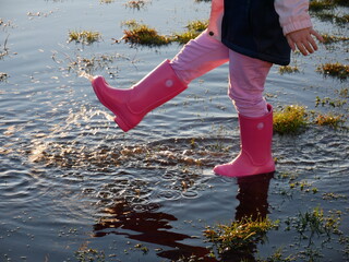 Little Girl Walking Through Puddle in Pink Rain Boots Outdoors in Sunny Field.