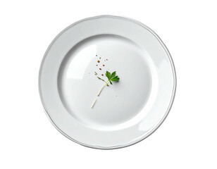 Empty white plate with a sprig of parsley and scattered spices