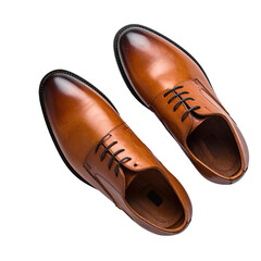 Top-down view of a pair of tan leather dress shoes.  Glossy, pointed toes, and lace-up style