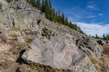 Rhizocarpon geographicum (the map lichen) . Plateau Rhyolite - Central Plateau Member - Pitchstone Plateau flow.  Near Phantom / Pitchstone Trailhead (8k4),  Yellowstone National Park, Wyoming.