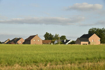Nouveau lotissement derrière une prairie en fin de journée à Écaussinnes d'Enghien (Soignies)