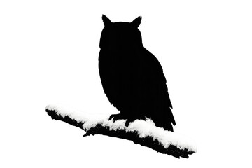 Owl silhouette perched on snowy branch, transparent background