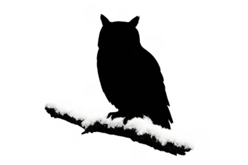 Owl silhouette perched on snowy branch, transparent background