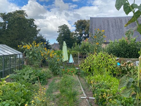 L'un des potagers pr&egrave;s du ch&acirc;teau-fort &agrave; &Eacute;caussinnes-Lalaing (Soignies)